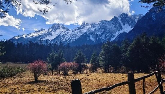 玉龍雪山雲杉坪秋季
