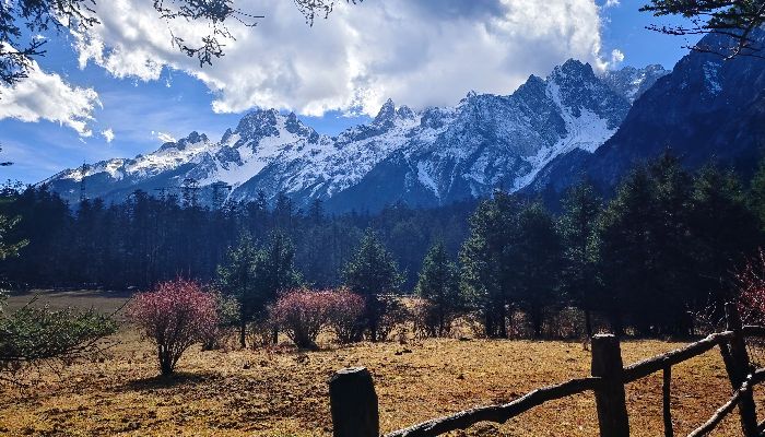玉龙雪山云杉坪秋季