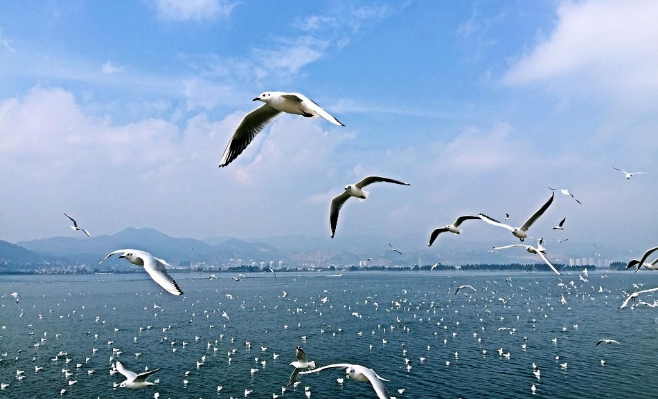 雲南昆明-大理-麗江-香格里拉純玩8日拼團遊