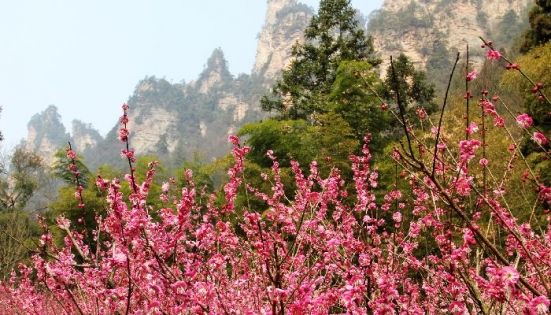 張家界2月旅遊指南：淡季景點、天氣、穿衣與美食全攻略