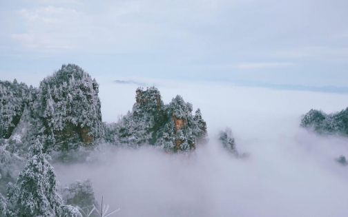 張家界12月旅遊全攻略：冬雪裹峰林暢玩不擠人