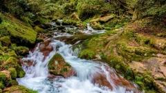 2026最新張家界自由行攻略與資訊指南