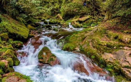 2026最新張家界自由行攻略與資訊指南