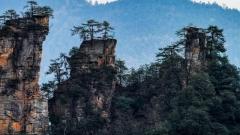 上海到張家界交通攻略詳解｜2026省心出行指南