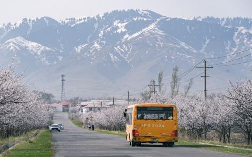 中國春季旅行推薦｜赴一場山河與花開的浪漫之約