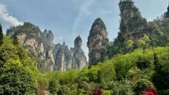 如何前往張家界國家森林公園：完整交通指南