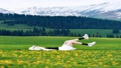 夏日那拉提草原保姆級攻略：一天玩遍空中草原、河谷草原與盤龍谷道