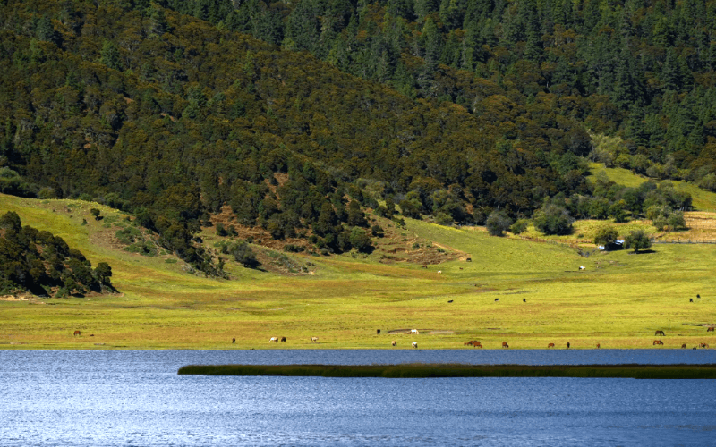 云南普达措国家公园