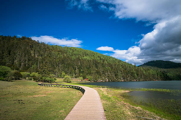 Shudu lake, Pudacuo National Park, yunnan china.