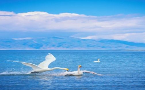 新疆夏日天氣全解析｜乾熱、溫差、日照一次看懂