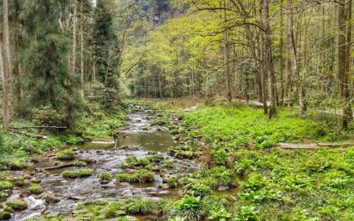 张家界4月旅游攻略|春染峰林赴仙境之约