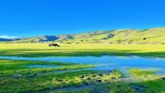 新都橋旅遊攻略:川西最美光影之地全指南