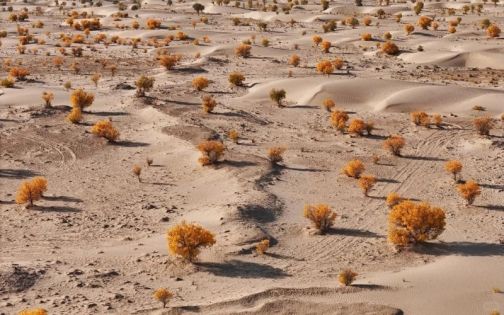 南疆-N39沙漠基地_3_AkiZhu_来自小红书网页版(1)