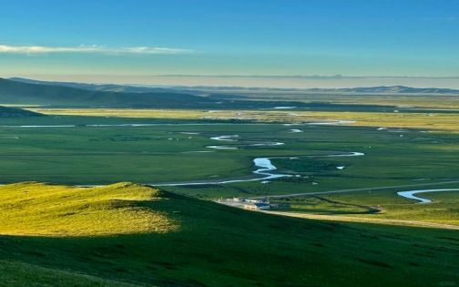 《重返狼群》现在的若尔盖，还有狼皮卖？！_1_两朵花花的小Q_来自小红书网页版(1)