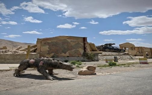 阿克塞-石油小镇_1_朝5晚酒_来自小红书网页版(1)