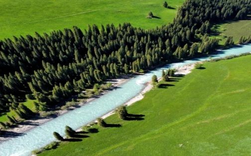 唐布拉百里画廊