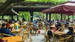 慢遊成都：從蓋碗茶到街頭小吃的地道生活體驗