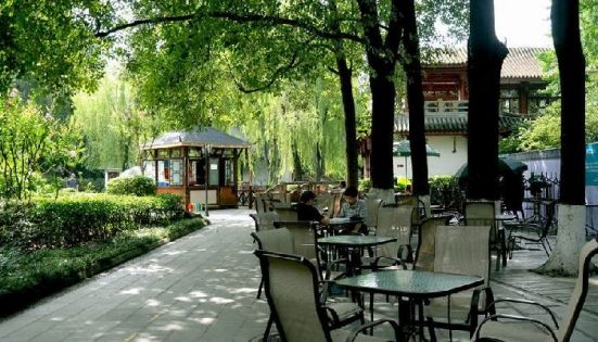 走進成都慢生活：不可錯過的地道茶館體驗