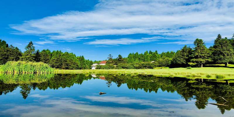仙女山國家森林公園