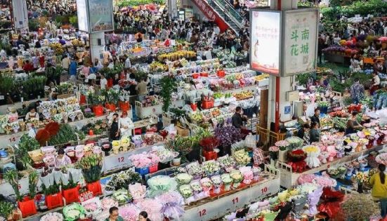 昆明鬥南花市鮮花市場