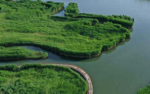 張掖必遊景點全攻略:從七彩丹霞到千年古跡的絲路旅程
