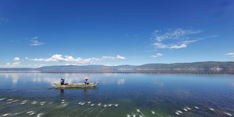 大理洱海游船