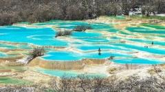 黃龍景區門票怎麼預訂？票價、購票流程與入園注意事項