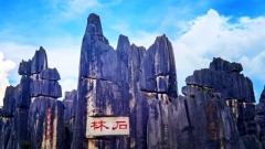 雲南昆明石林風景區旅遊攻略：門票、交通、最佳時間與必看景點一次搞懂