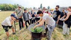 美國去雲南旅遊:簽證、交通與最佳入境方式攻略