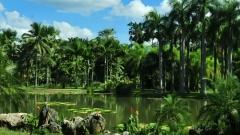 雲南旅遊城市實用指南：費用、交通、住宿與行程規劃詳解