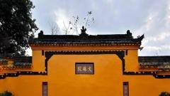 成都文殊院旅遊攻略：鬧市中的秘境