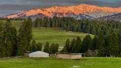 2026庫爾德寧森林公園自駕全攻略:伊犁最值得慢遊的雪嶺雲杉秘境