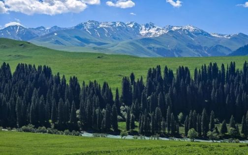 唐布拉百里画廊