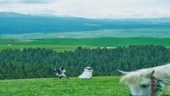 瓊庫什台全攻略:前山秘境+後山草原深度玩法(住宿・路線・避坑全解析)