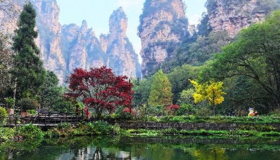 張家界國家森林公園
