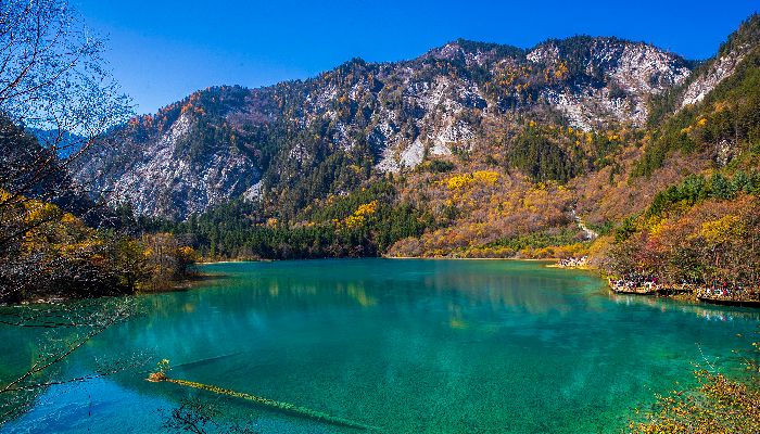 九寨溝五花海秋季風景