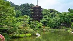 夏日北京漫遊指南—解鎖京城的清涼與精彩