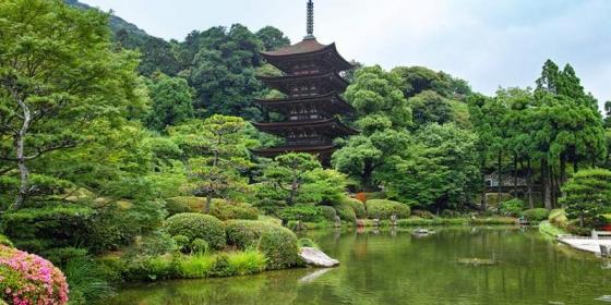 夏日北京漫遊指南—解鎖京城的清涼與精彩