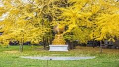 西安秋季9月至11月旅遊攻略:輕鬆玩轉西安不踩坑