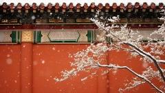 北京冬季旅遊攻略:景點、美食、住宿與穿衣指南