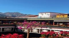 大昭寺旅遊攻略(拉薩核心聖地深度參觀全指南)
