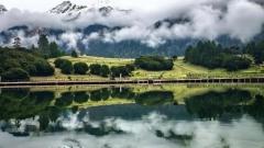 魯朗林海旅遊攻略|西藏最像童話世界的高原森林秘境,附交通住宿美食避坑指南