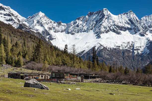 四姑娘山