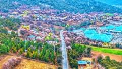 雅魯藏布江大峽谷攻略|南北岸怎麼玩?索松村值得住嗎?一日遊、拍照機位、避坑建議一次看懂