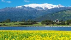魯朗國際旅遊小鎮攻略|交通、景點、美食、住宿、兩天一夜玩法全解析,第一次到林芝必收藏