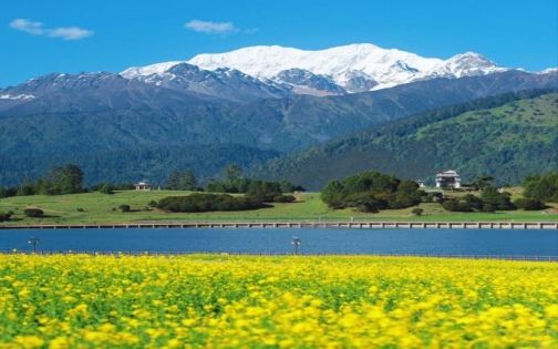魯朗國際旅遊小鎮