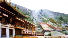 缺氧也值得去一次的西藏雪頓節!8月限定的雪域夏日狂歡