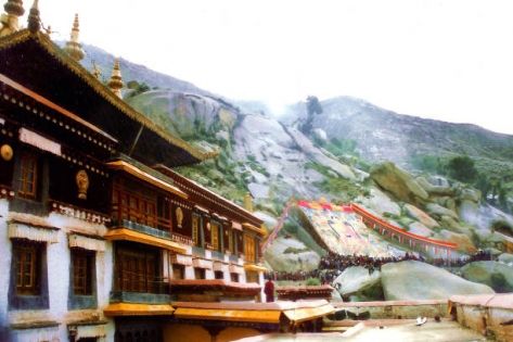 缺氧也值得去一次的西藏雪頓節！8月限定的雪域夏日狂歡