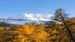 秋天西藏攻略|9-11月進藏必看指南,雪山、彩林與金色高原的最佳旅行季