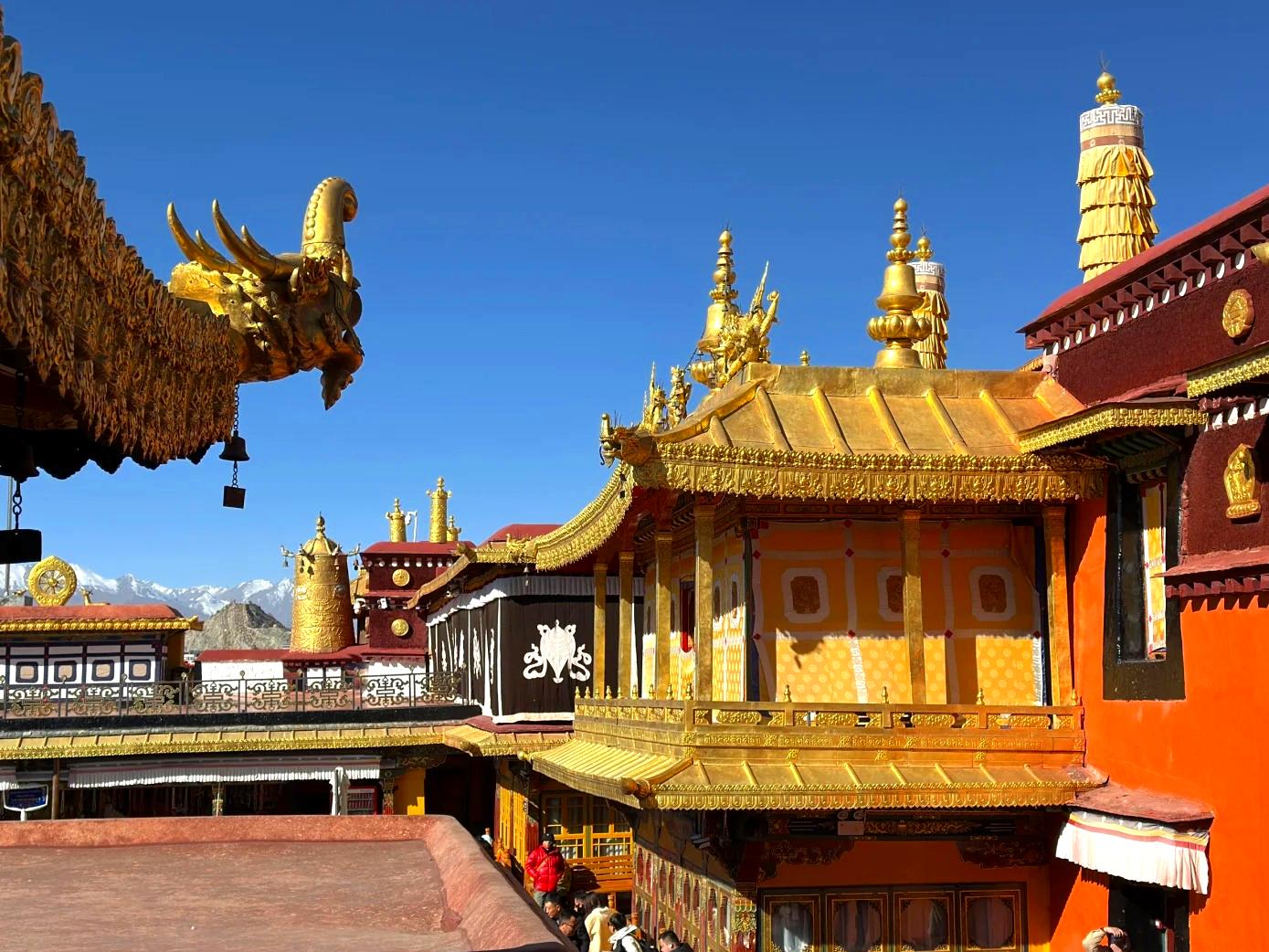 湛藍晴空下，大昭寺金頂熠熠生輝，陽光灑在鎏金法輪和臥鹿上，閃耀著温暖光芒，經幡隨風輕揚，莊嚴而明亮。
